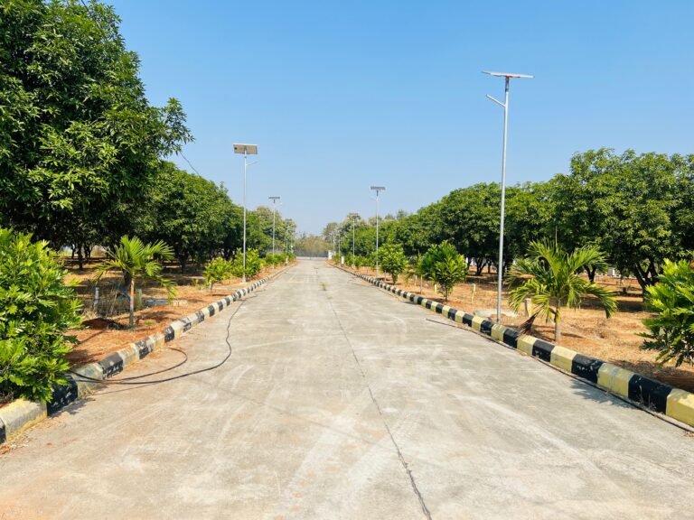 whatsapp image 2025 12 18 at 12.11.56 72e8a348