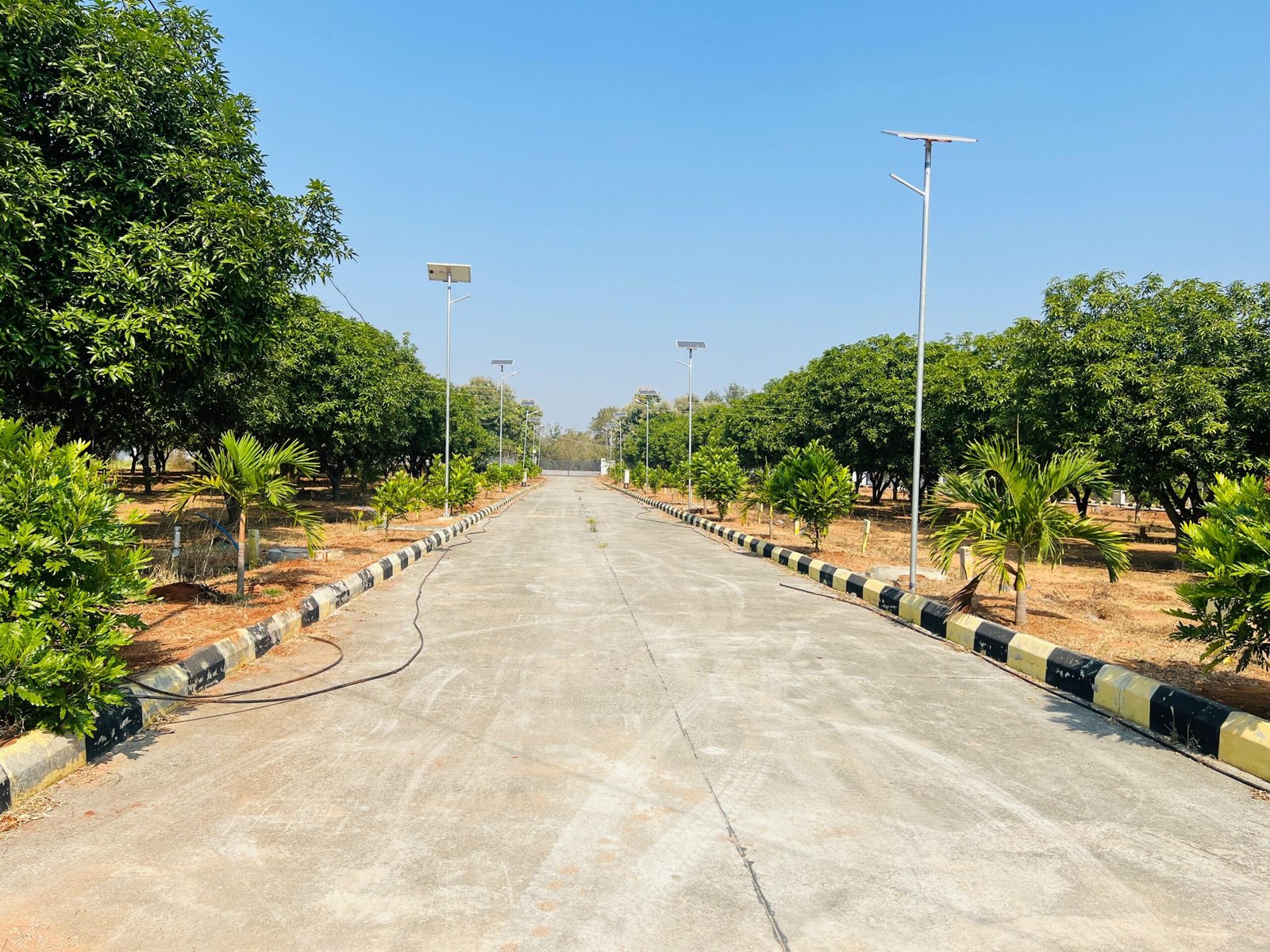 whatsapp image 2025 12 18 at 12.11.56 72e8a348