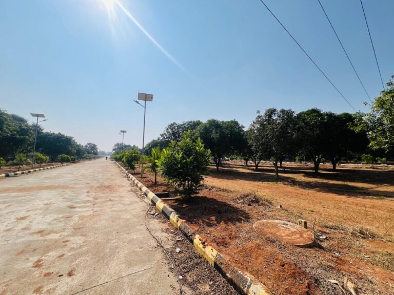 whatsapp image 2025 12 18 at 13.43.48 2e30ea7a