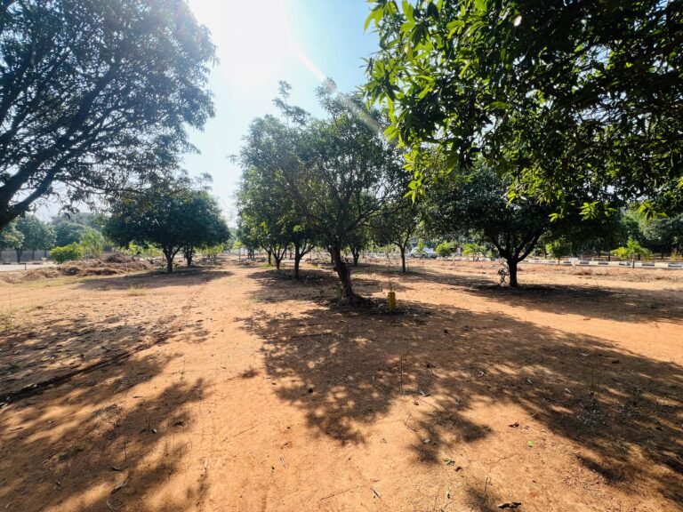 whatsapp image 2025 12 18 at 13.43.48 4bf23367